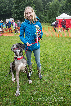 2162_FunDay2017_PAWS_craigshaw