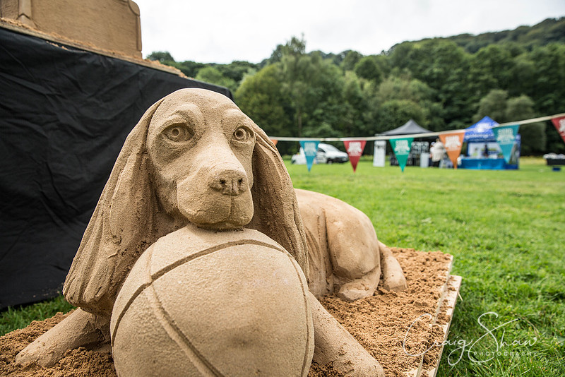 Hebdens Happy Hounds 2017