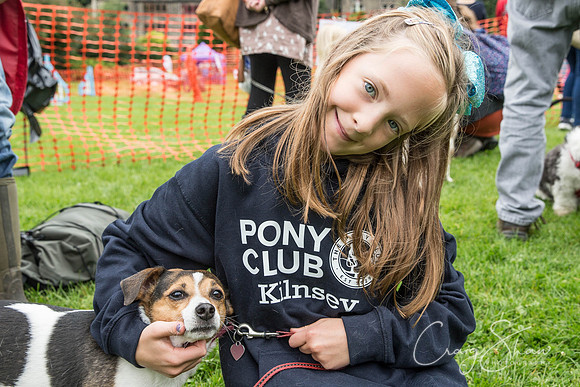 Hebdens Happy Hounds 2017