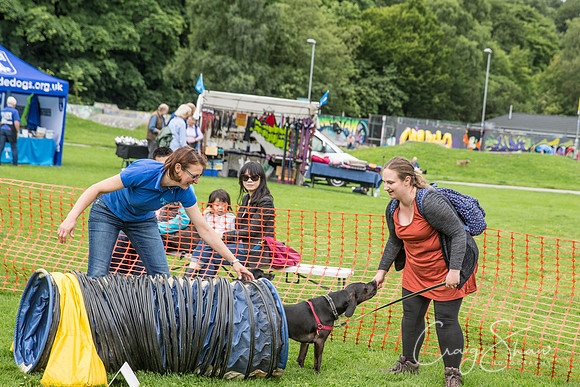 Hebdens Happy Hounds 2017