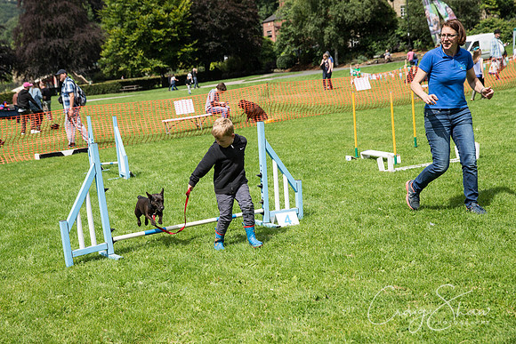 Hebdens Happy Hounds 2017