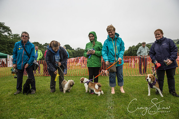 507_FunDay2017_PAWS_craigshaw