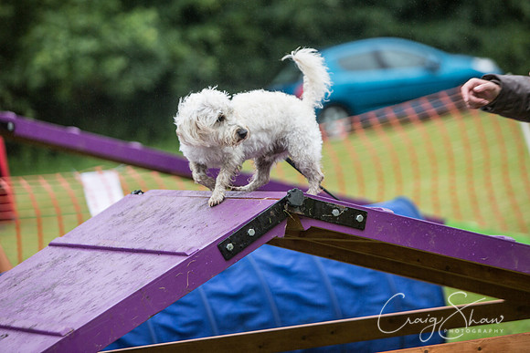 638_FunDay2017_PAWS_craigshaw