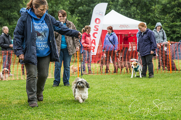 686_FunDay2017_PAWS_craigshaw