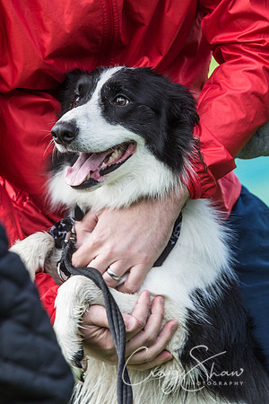 147_RSPCAShidenDogDay2017_craigshaw