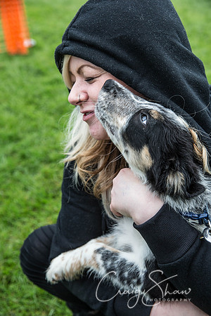814_RSPCAShidenDogDay2017_craigshaw
