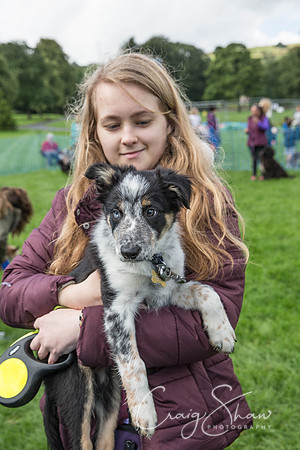 920_RSPCAShidenDogDay2017_craigshaw