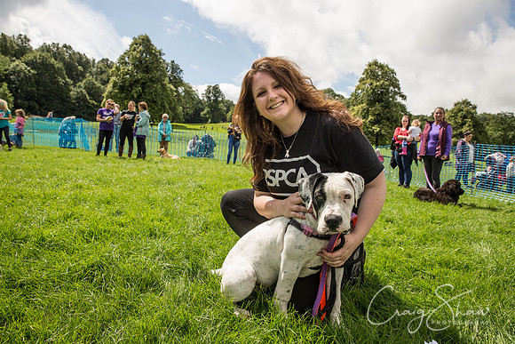 987_RSPCAShidenDogDay2017_craigshaw