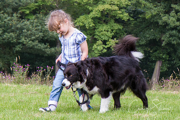 RSPCA Dog Day Afternoon