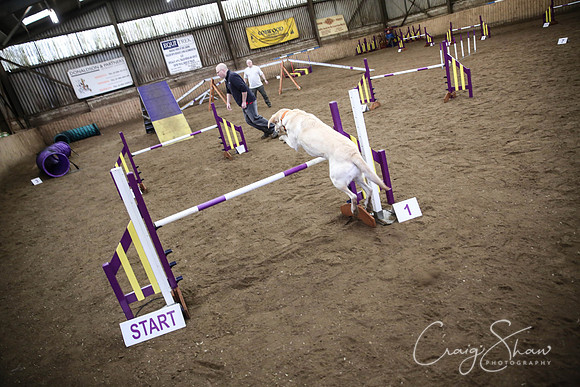 54_SpringFling2014_bluplanetphoto
