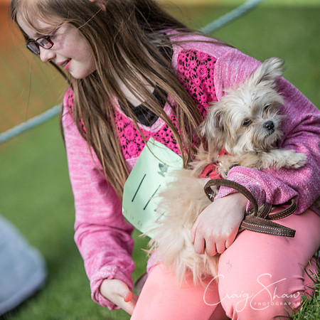 2136_K9Partyinthepark2014_RSPCAHalifax_bluplanetphoto