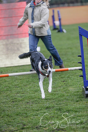297__SpringersFunDay_March2014_bluplanetphoto