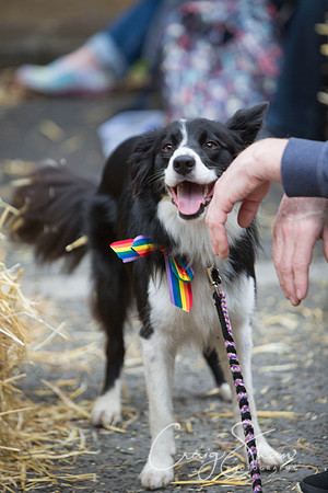 305_HappyValleyPride_Saturday_craigshaw
