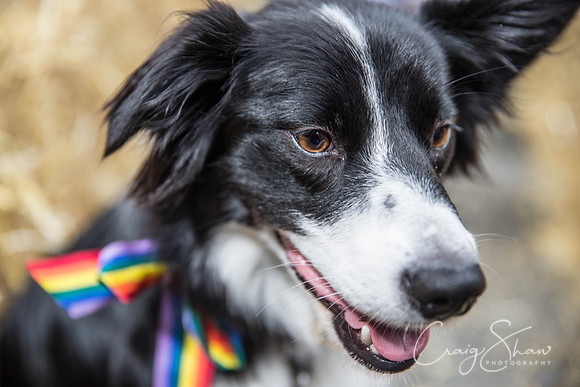 318_HappyValleyPride_Saturday_craigshaw