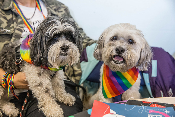 1199_HappyValleyPride_Saturday_craigshaw