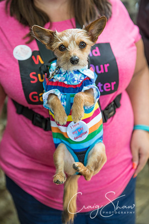 1294_HappyValleyPride_Saturday_craigshaw