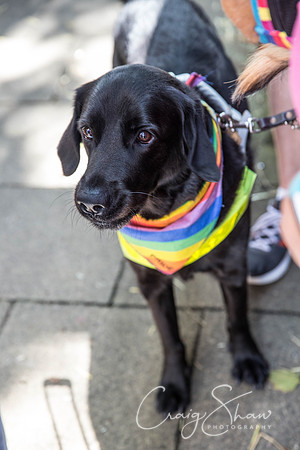 1305_HappyValleyPride_Saturday_craigshaw