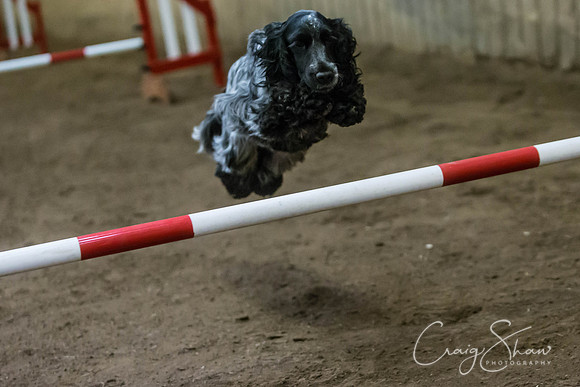 2715_springfling2015_bluplanetphoto