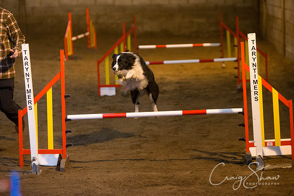 20_springfling2015_bluplanetphoto