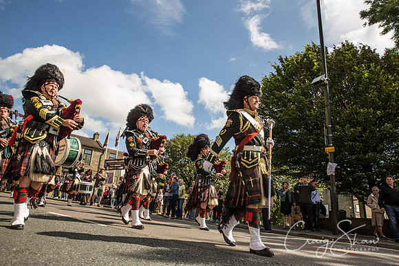 731_Sunday_ColneRhythmBlues2017_craigshawphoto