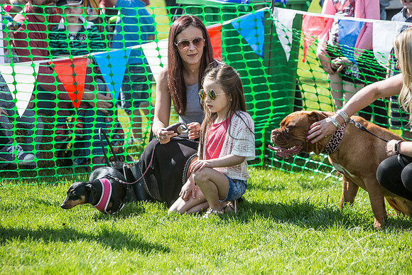 321_WardleVillageFete2017_craigshaw