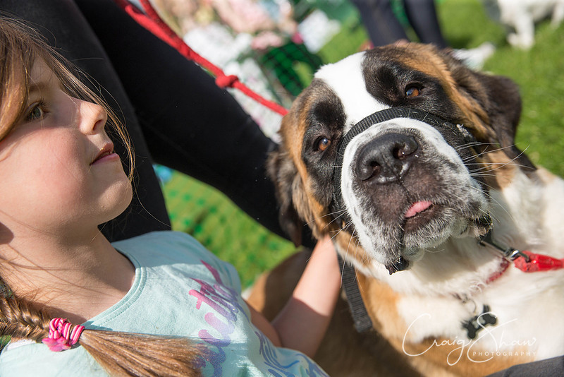 375_WardleVillageFete2017_craigshaw