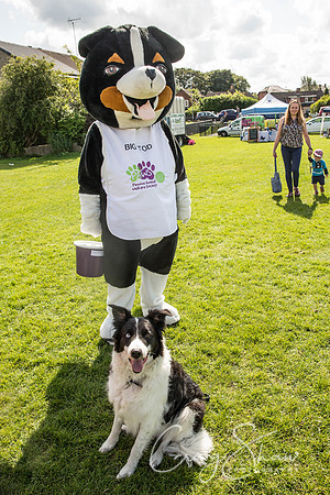 578_WardleVillageFete2017_craigshaw