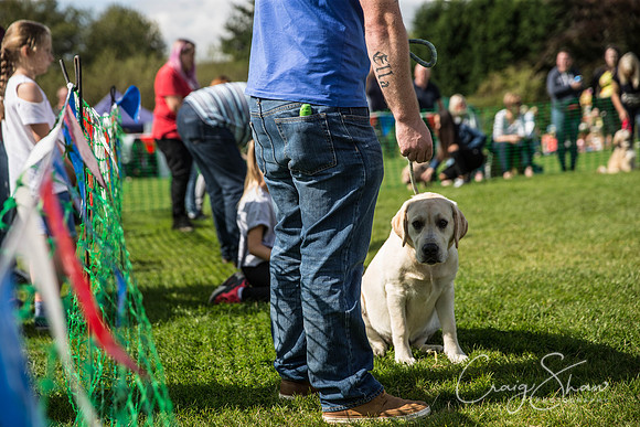 661_WardleVillageFete2017_craigshaw