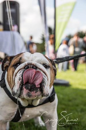 696_WardleVillageFete2017_craigshaw
