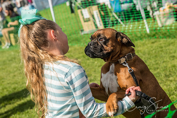 892_WardleVillageFete2017_craigshaw