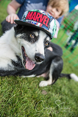 1043_WardleVillageFete2017_craigshaw