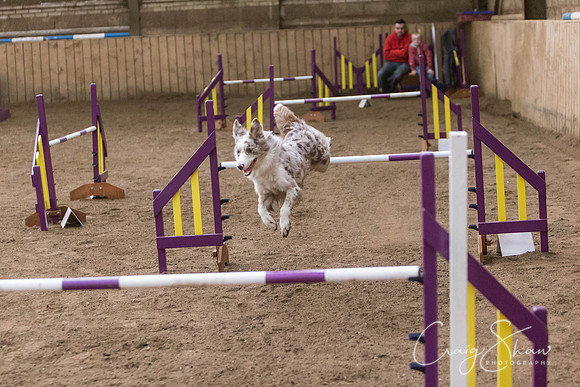 3408_SpringFling2014_bluplanetphoto