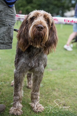 526_BarkintheParkHuddersfield_2014_bluplanetphoto