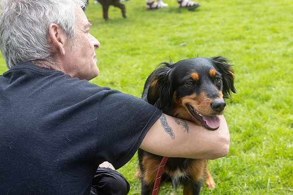 1642_HebdensHappyHounds2024_Cshaw-