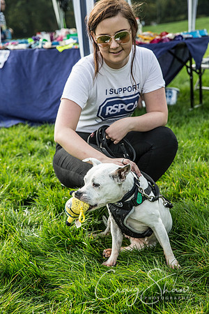10_Bigwalkies2017_RSPCAHx_craigshawphoto