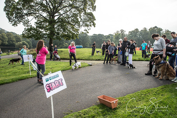150_Bigwalkies2017_RSPCAHx_craigshawphoto