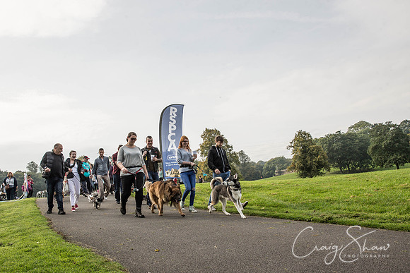 164_Bigwalkies2017_RSPCAHx_craigshawphoto