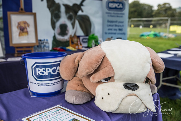 499_Bigwalkies2017_RSPCAHx_craigshawphoto
