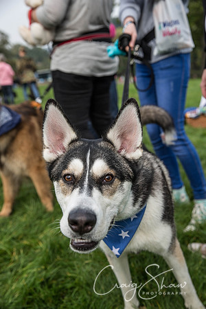 511_Bigwalkies2017_RSPCAHx_craigshawphoto