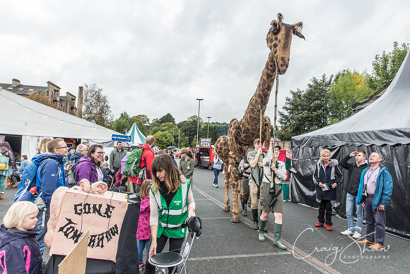 305_SkiptonPuppetFestival2017_craigshawphoto