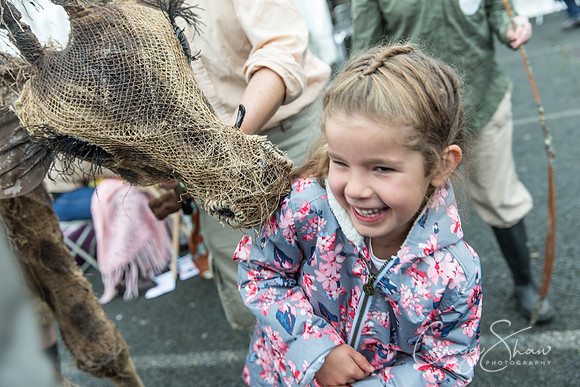 386_SkiptonPuppetFestival2017_craigshawphoto