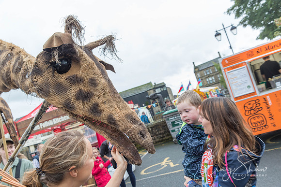 245_SkiptonPuppetFestival2017_craigshawphoto