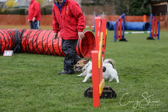 276__SpringersFunDay_March2014_bluplanetphoto