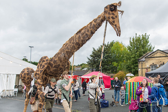 382_SkiptonPuppetFestival2017_craigshawphoto