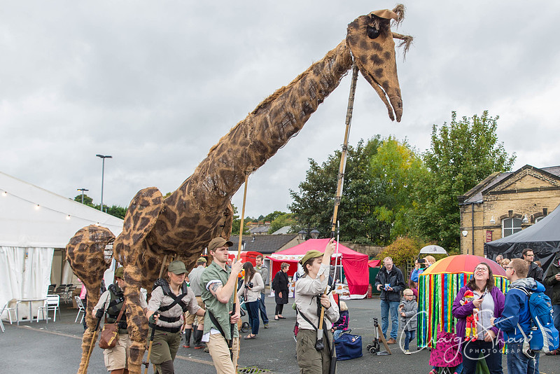 382_SkiptonPuppetFestival2017_craigshawphoto