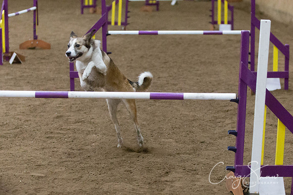 3118_SpringFling2014_bluplanetphoto