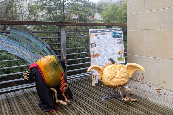 225_HebdenPumpkinTrail2024_Cshaw-