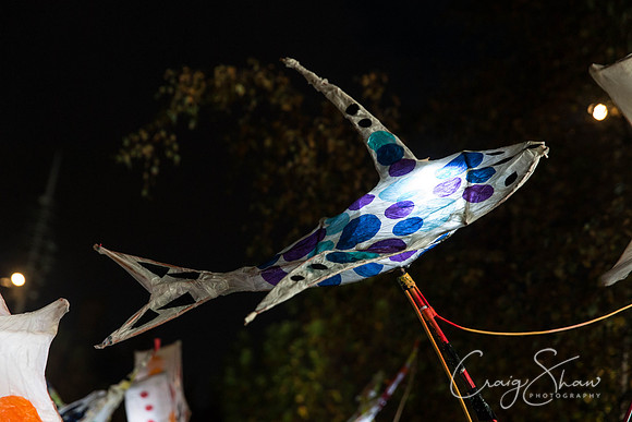 Illuminate Bradford 2017
