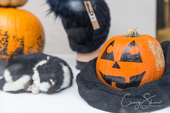 15_PumpkinFestival_HRTC_craigshaw