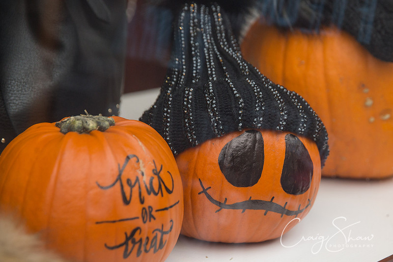 12_PumpkinFestival_HRTC_craigshaw